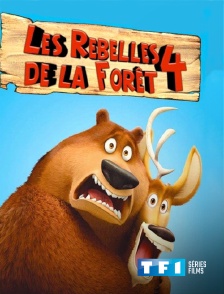 TF1 Séries Films - Les rebelles de la forêt 4