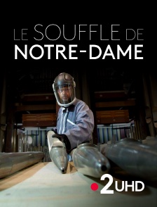 France 2 UHD - Le souffle de Notre-Dame