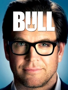 Bull