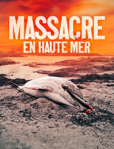France : le massacre des dauphins