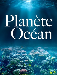 Planète Océan
