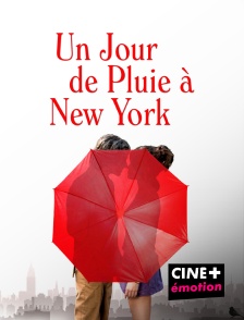 CINE+ Emotion - Un jour de pluie à New York en replay