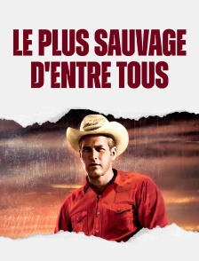 Le plus sauvage d'entre tous