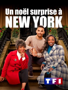 TF1 - Un Noël surprise à New York