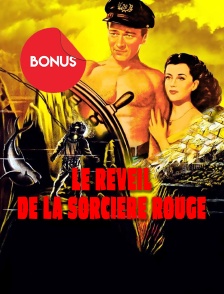 Le réveil de la sorcière rouge : le bonus
