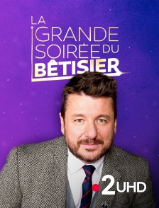 France 2 UHD - La grande soirée du bêtisier
