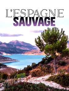L'Espagne sauvage