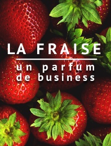 La fraise, un parfum de business