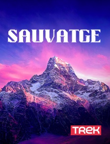 Trek - Sauvatge