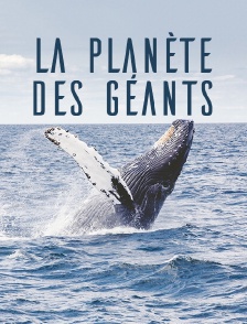 La planète des géants