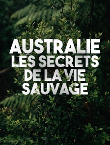 Australie, les secrets de la vie sauvage