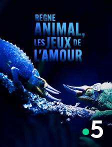 France 5 - Règne animal, les jeux de l'amour