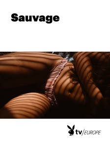 Playboy TV - Sauvage