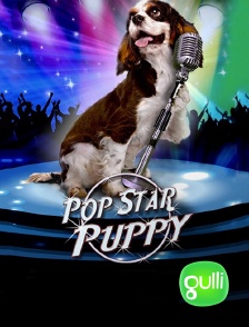 Gulli - Pop Star Puppy : Toutou pour la musique