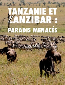 Tanzanie et Zanzibar : paradis menacés
