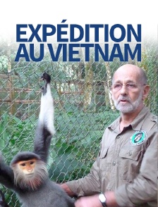 Expédition au Viêtnam