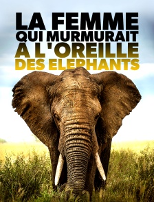 La femme qui murmurait à l'oreille des éléphants