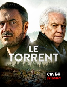 Le torrent