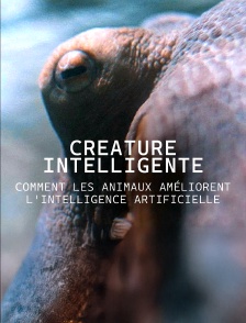 CRÉATURE INTELLIGENTE : COMMENT LES ANIMAUX AMÉLIORENT L'INTELLIGENCE ARTIFICIELLE