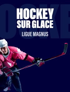 Hockey sur glace : Ligue Magnus