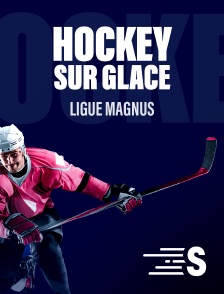Sport en France - Hockey sur glace : Ligue Magnus