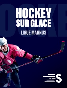 Sport en France - Hockey sur glace - Ligue Magnus