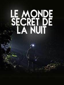 Le monde secret de la nuit