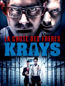 La chute des frères Krays
