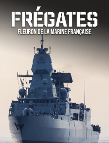 Frégates : fleuron de la marine française