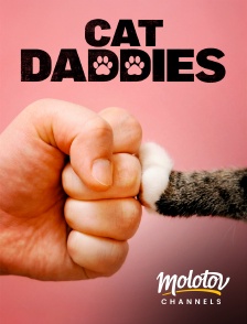 Molotov channels - Cat Daddies