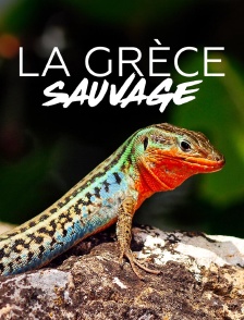 La Grèce sauvage