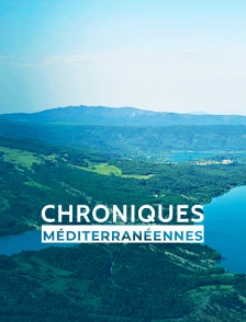 Chroniques méditerranéennes