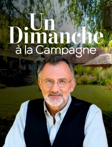 Un dimanche à la campagne