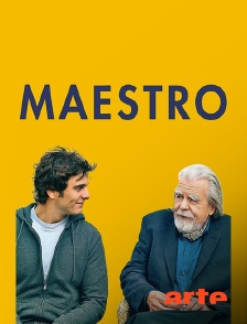 Arte - Maestro