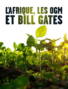 L'Afrique, les OGM et Bill Gates