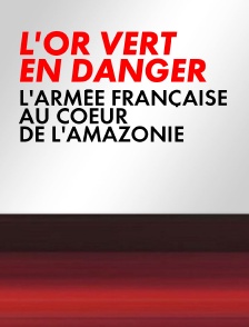 L'or vert en danger : l'armée française au coeur de l'Amazonie