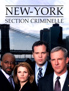 New York, section criminelle