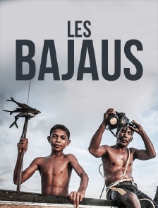 Les Bajaus