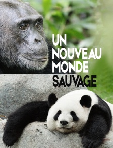 Un nouveau monde sauvage