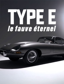 Type E, le fauve éternel