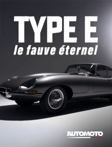 Type E, le fauve éternel