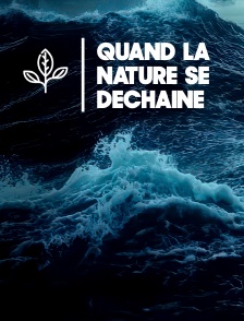 Quand la nature se déchaîne