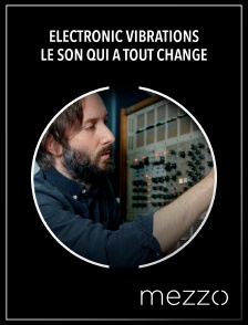 Mezzo - Electronic Vibrations : Le son qui a tout changé