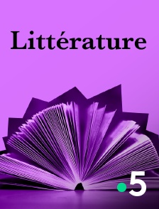 France 5 - Sur les traces d'Henry de Monfreid, écrivain & pirate de la mer Rouge