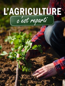 L'agriculture, c'est reparti