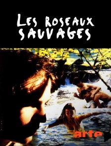 Les roseaux sauvages