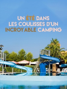 Un été dans les coulisses d'un incroyable camping