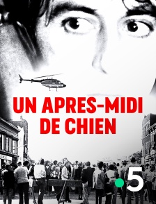 France 5 - Un après-midi de chien