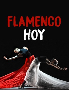 Flamenco hoy