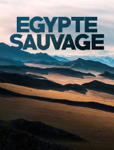 Egypte sauvage